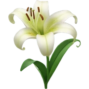 Lily flower  sticker