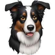 border collie sticker