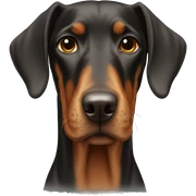 Dobermann  sticker