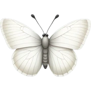 White butterfly sticker