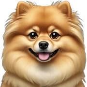 noble pomeranian sticker