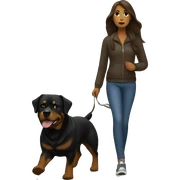A woman with long brown hair takes a Rottweiler for a walk  sticker