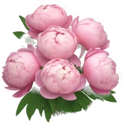 Bouquet of pink peonies sticker