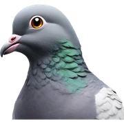 pigeon-pigeon-pigeon sticker