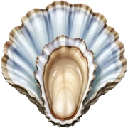 Oyster sticker