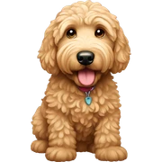Goldendoodle  sticker