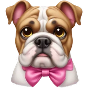 Bulldog with pink bow  sticker