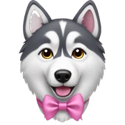 husky wearing pink bow  sticker
