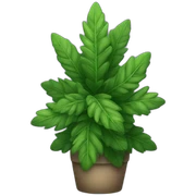 Christmas plants sticker