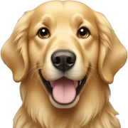 Golden retriever sticker