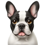 French bulldog  sticker