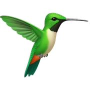 colibri sticker