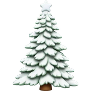  actual white fir christmas tree isolated.  sticker