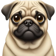 pug sticker