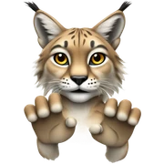 Lynx with hands out sticker