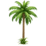Palm tree sticker