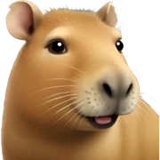 Capybara  sticker