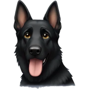 All black German shepherd  sticker