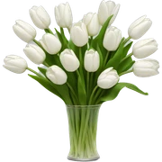 bouquet of white tulips sticker