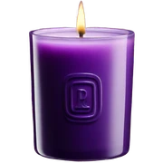 Diptyque candle purple sticker