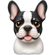 Frenchie sticker