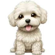 Maltipoo  sticker