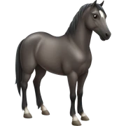 Seal bay horse sticker