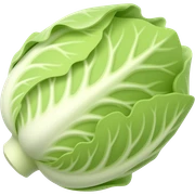 Roquette sticker
