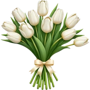 White tulips sticker