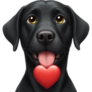 black labrador Kiss a heart sticker