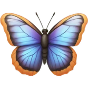 butterfly sticker