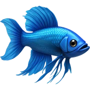 Blue fighting fish sticker