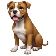 Pitbul sticker