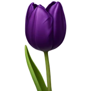 Dark purple Tulip sticker