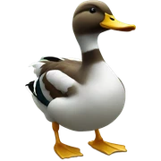 Duck sticker