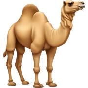 Camel sticker