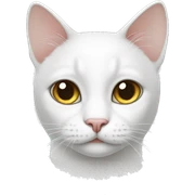 white cat sticker