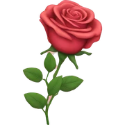 LGBTQ roses sticker