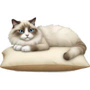 ragdoll cat sleeping on a pillow sticker