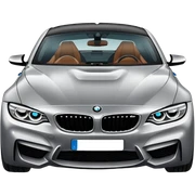BMW  sticker
