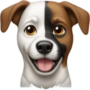 Dog with black ears and brown and white face  sticker