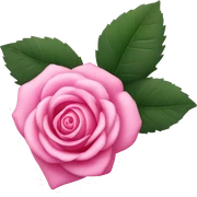 Pink rose sticker