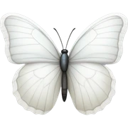 White butterfly sticker