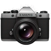 digital camera sticker