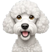 White poodle sticker