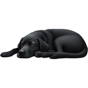 Black lab sleeping sticker
