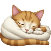 Cat sleep sticker