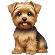 Brownish Maltese yorkie cross sticker