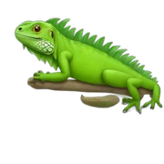 Iguana sticker