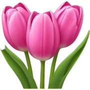 Pink tulips  sticker